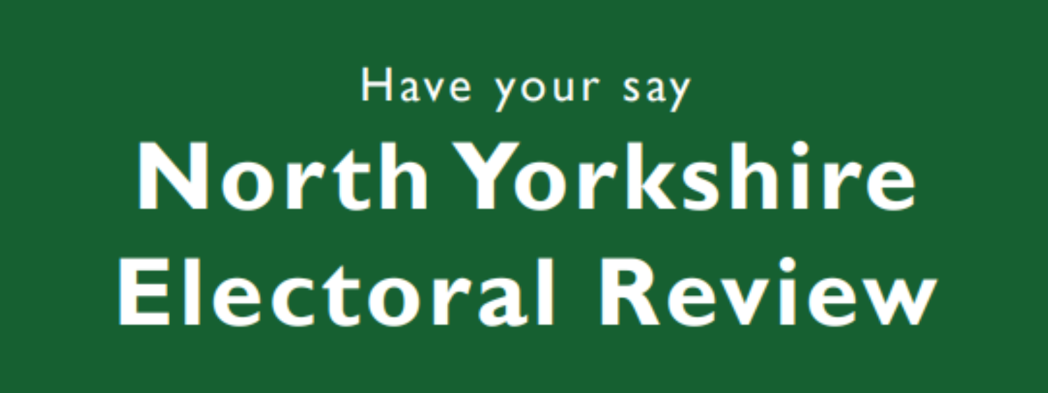 NY Electoral Review